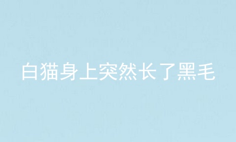 白猫身上突然长了黑毛