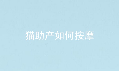 猫助产如何按摩