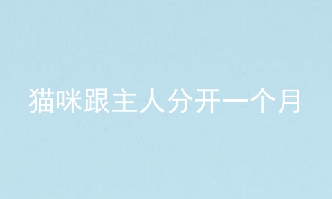 猫咪跟主人分开一个月