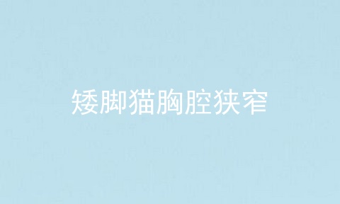矮脚猫胸腔狭窄