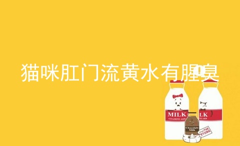 猫咪肛门流黄水有腥臭