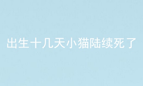 出生十几天小猫陆续死了
