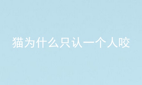 猫为什么只认一个人咬