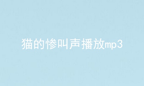 猫的惨叫声播放mp3