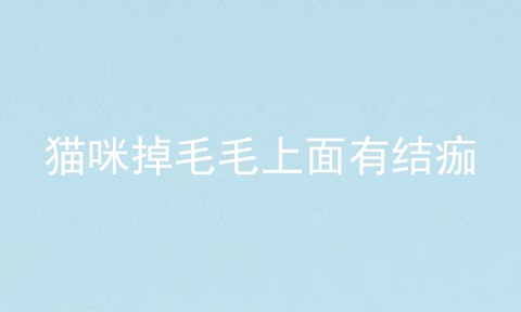 猫咪掉毛毛上面有结痂