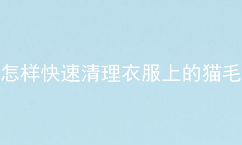 怎样快速清理衣服上的猫毛