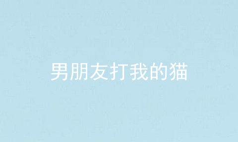 男朋友打我的猫