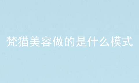 梵猫美容做的是什么模式