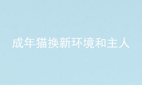成年猫换新环境和主人