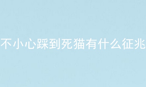 不小心踩到死猫有什么征兆