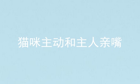 猫咪主动和主人亲嘴