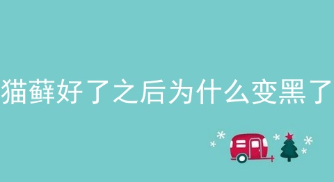 猫藓好了之后为什么变黑了