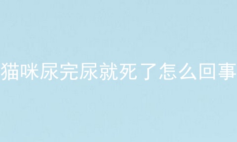 猫咪尿完尿就死了怎么回事