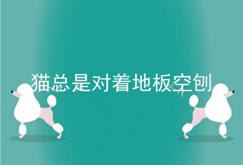 猫总是对着地板空刨