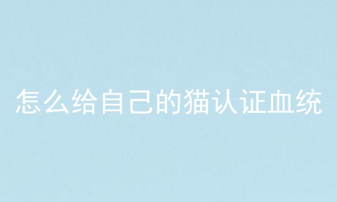 怎么给自己的猫认证血统