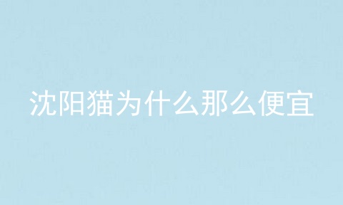 沈阳猫为什么那么便宜