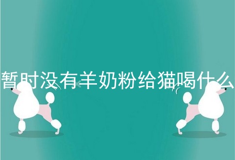 暂时没有羊奶粉给猫喝什么