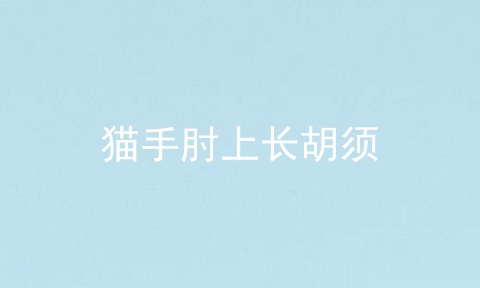 猫手肘上长胡须