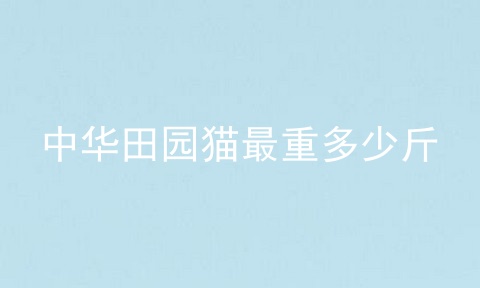 中华田园猫最重多少斤