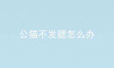 公猫不发腮怎么办