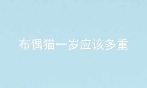 布偶猫一岁应该多重
