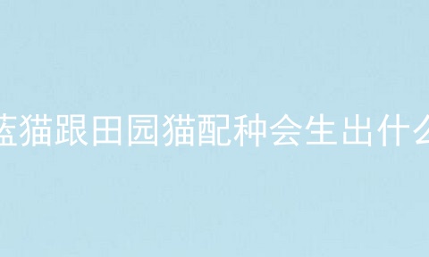蓝猫跟田园猫配种会生出什么