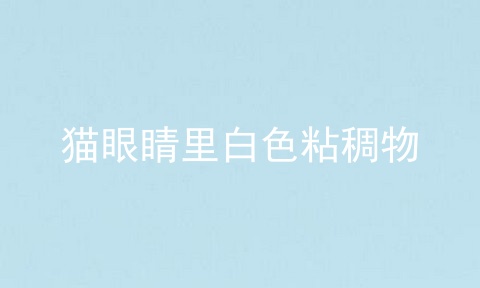 猫眼睛里白色粘稠物