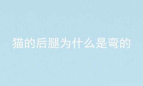 猫的后腿为什么是弯的