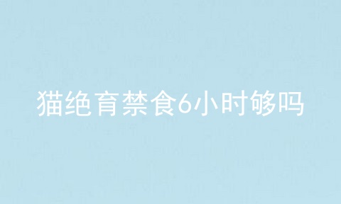 猫绝育禁食6小时够吗