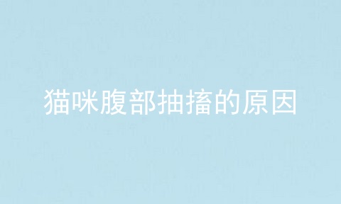 猫咪腹部抽搐的原因