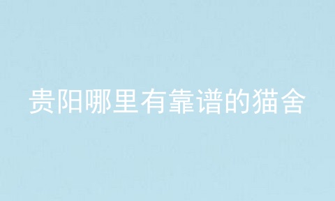 贵阳哪里有靠谱的猫舍
