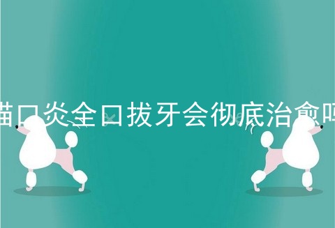 猫口炎全口拔牙会彻底治愈吗