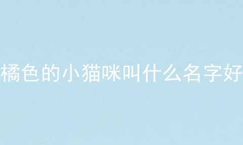 橘色的小猫咪叫什么名字好