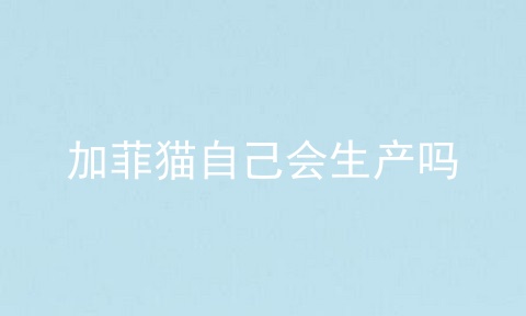 加菲猫自己会生产吗