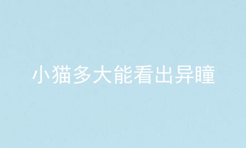 小猫多大能看出异瞳