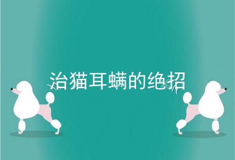 治猫耳螨的绝招