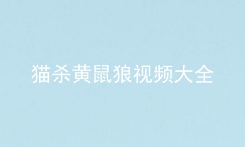 猫杀黄鼠狼视频大全