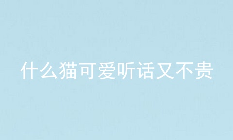什么猫可爱听话又不贵