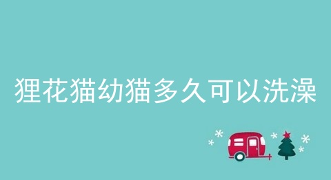 狸花猫幼猫多久可以洗澡