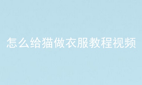 怎么给猫做衣服教程视频