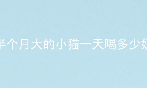 半个月大的小猫一天喝多少奶