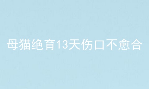 母猫绝育13天伤口不愈合