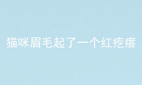 猫咪眉毛起了一个红疙瘩