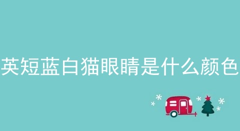 英短蓝白猫眼睛是什么颜色
