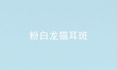 粉白龙猫耳斑