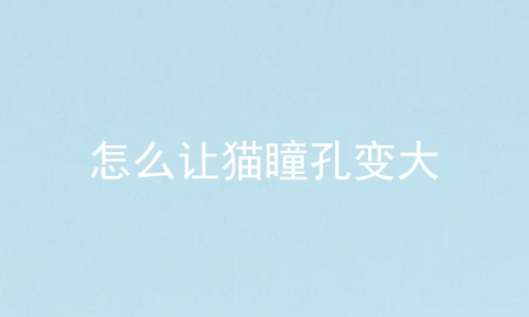 怎么让猫瞳孔变大