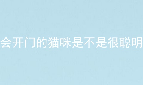 会开门的猫咪是不是很聪明