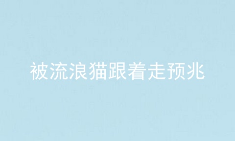 被流浪猫跟着走预兆