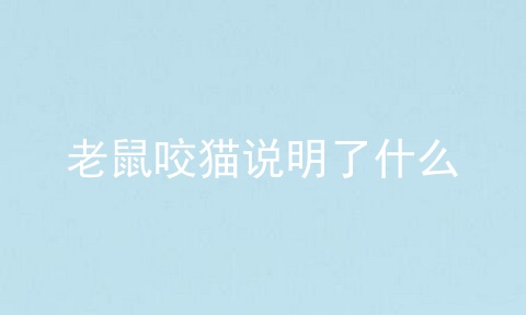 老鼠咬猫说明了什么