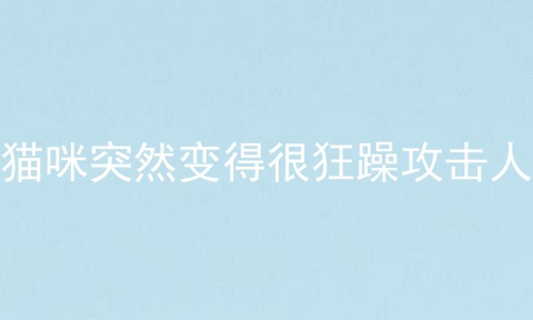 猫咪突然变得很狂躁攻击人